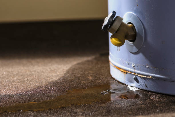 Best 24/7 water damage repair  in Lexington, MS