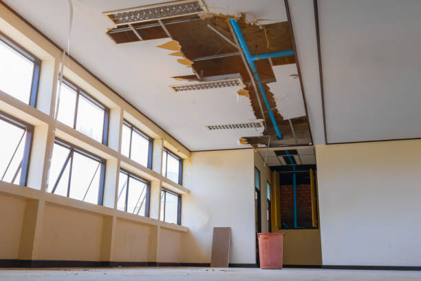 Best Commercial water damage restoration  in Lexington, MS