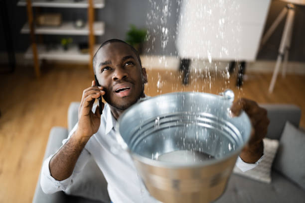Best Water damage restoration services  in Lexington, MS