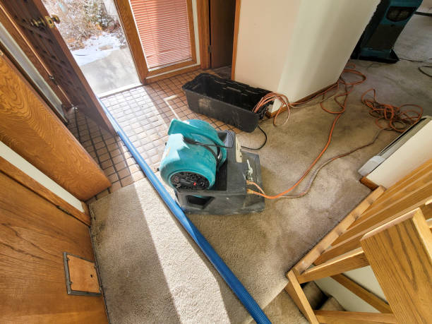 Water damage restoration process in Lexington, MS