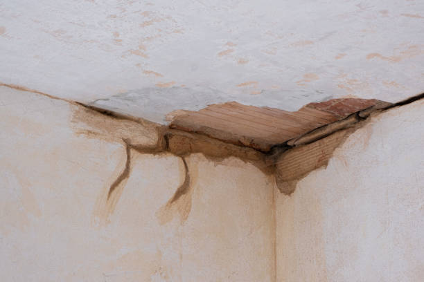 Best Water damage restoration cost  in Lexington, MS