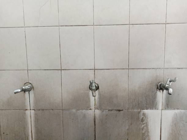Best Water damage restoration near me  in Lexington, MS