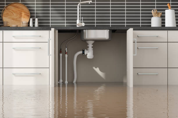 Best Basement water damage restoration  in Lexington, MS