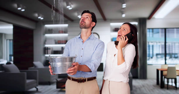 Best Local water damage restoration  in Lexington, MS